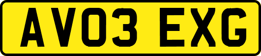 AV03EXG