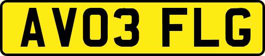 AV03FLG