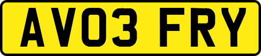 AV03FRY