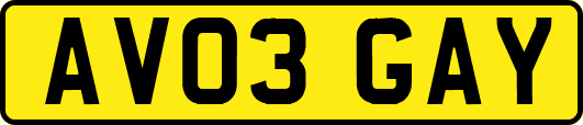 AV03GAY