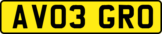 AV03GRO