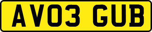 AV03GUB