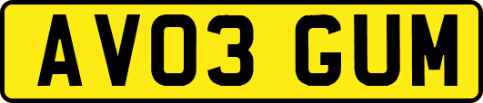 AV03GUM