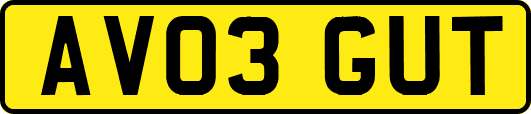 AV03GUT