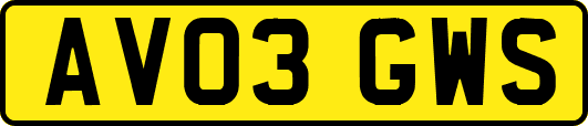 AV03GWS