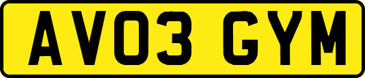 AV03GYM