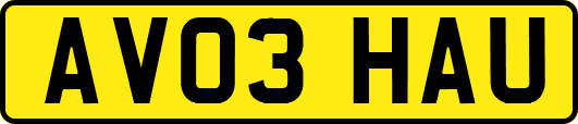 AV03HAU