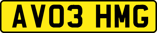 AV03HMG