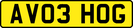 AV03HOG