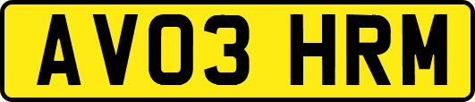 AV03HRM