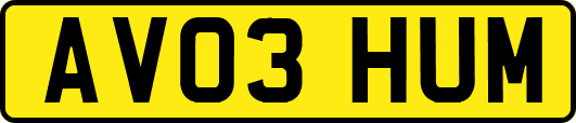 AV03HUM