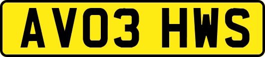 AV03HWS
