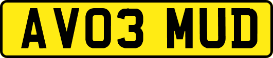 AV03MUD