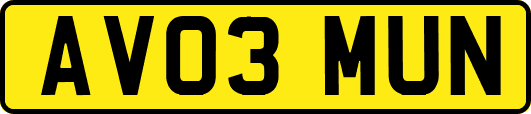 AV03MUN