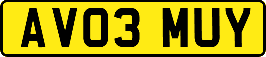 AV03MUY