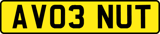 AV03NUT