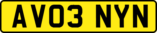 AV03NYN