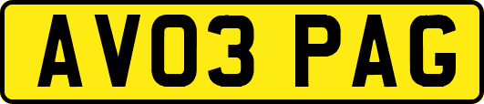 AV03PAG