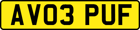 AV03PUF