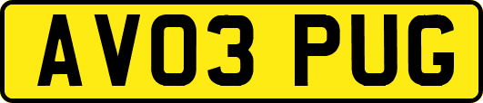 AV03PUG