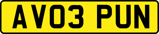 AV03PUN