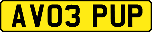 AV03PUP