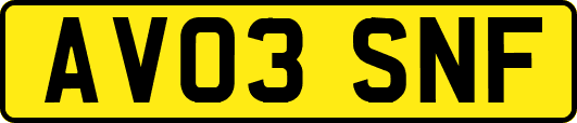 AV03SNF