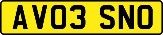 AV03SNO