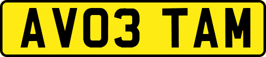 AV03TAM