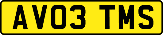 AV03TMS
