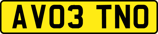 AV03TNO