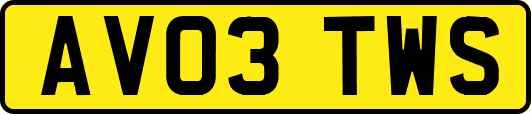 AV03TWS