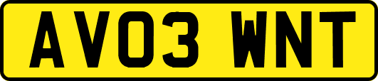 AV03WNT