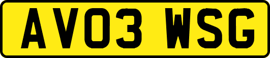 AV03WSG
