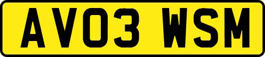 AV03WSM