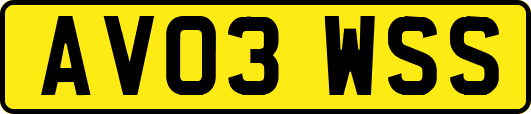 AV03WSS