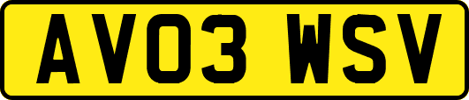 AV03WSV