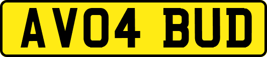 AV04BUD