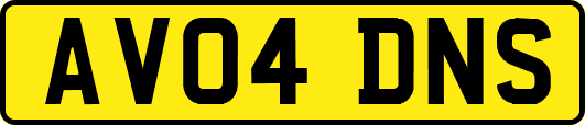 AV04DNS