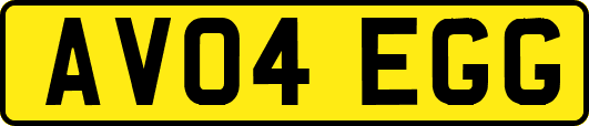 AV04EGG
