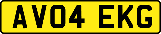 AV04EKG