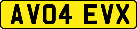AV04EVX