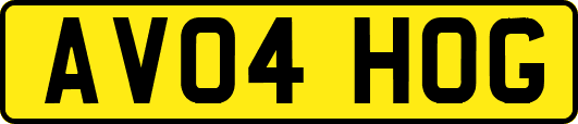 AV04HOG