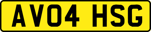 AV04HSG