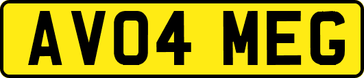 AV04MEG