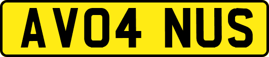 AV04NUS
