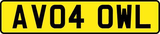AV04OWL