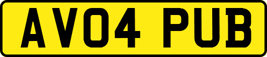 AV04PUB