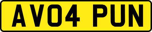 AV04PUN