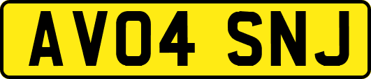AV04SNJ